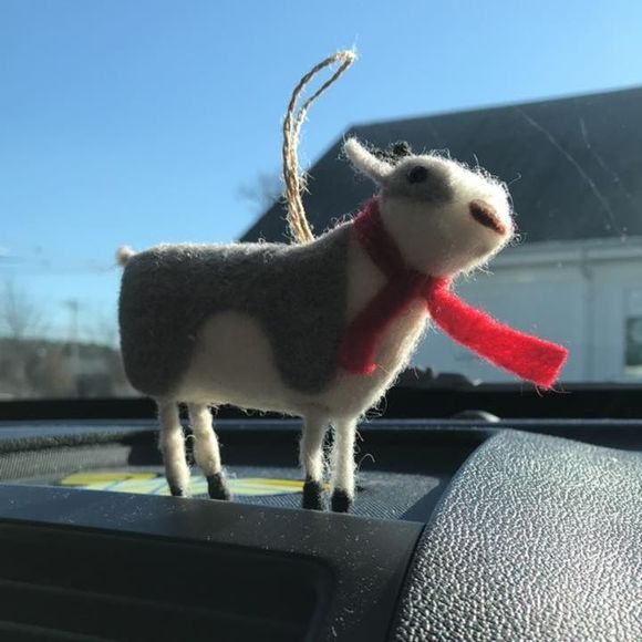 Meet your Posher, Annabelle - Picture 1 of 1